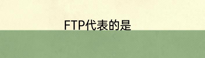 FTP代表的是