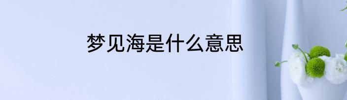 梦见海是什么意思