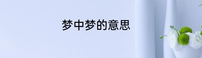 梦中梦的意思