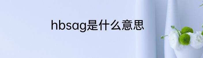 hbsag是什么意思
