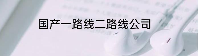 国产一路线二路线公司