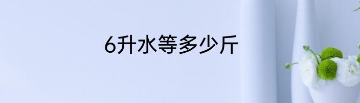 6升水等多少斤