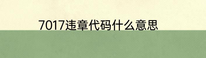 7017违章代码什么意思