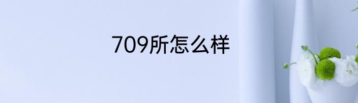 709所怎么样