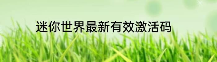 迷你世界最新有效激活码