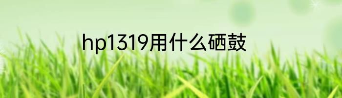 hp1319用什么硒鼓