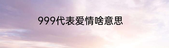 999代表爱情啥意思