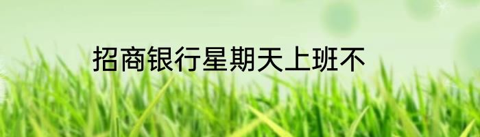 招商银行星期天上班不