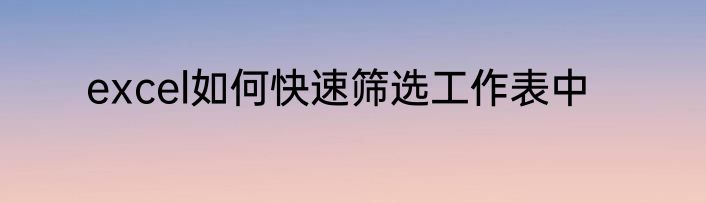 excel如何快速筛选工作表中