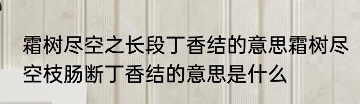 霜树尽空之长段丁香结的意思霜树尽空枝肠断丁香结的意思是什么
