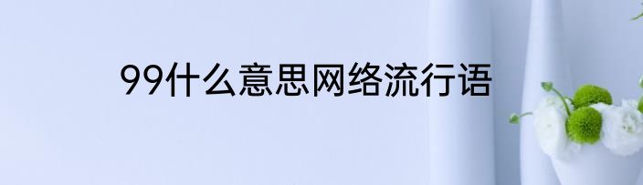 99什么意思网络流行语