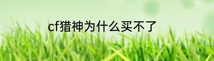 cf猎神为什么买不了