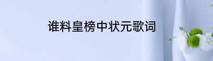 谁料皇榜中状元歌词