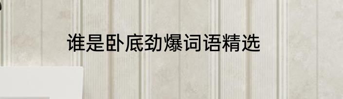 谁是卧底劲爆词语精选