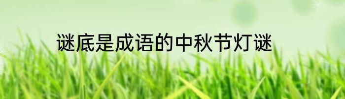 谜底是成语的中秋节灯谜