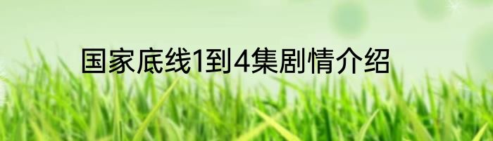 国家底线1到4集剧情介绍
