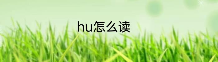 hu怎么读
