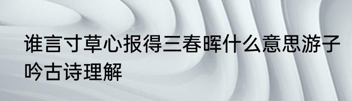 谁言寸草心报得三春晖什么意思游子吟古诗理解
