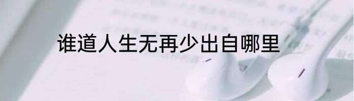 谁道人生无再少出自哪里