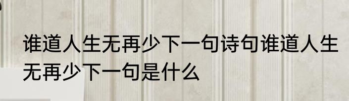 谁道人生无再少下一句诗句谁道人生无再少下一句是什么