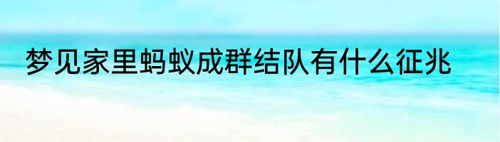 梦见家里蚂蚁成群结队有什么征兆
