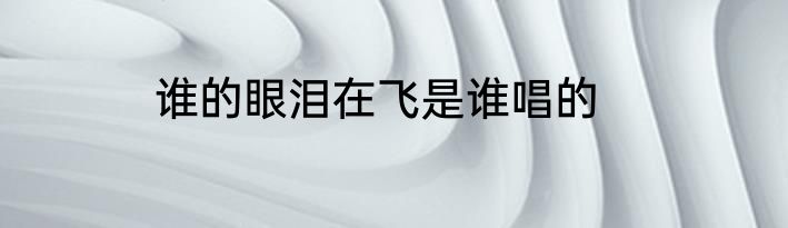 谁的眼泪在飞是谁唱的