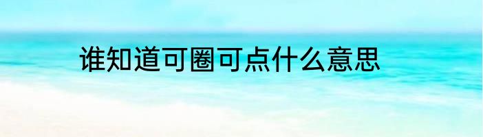 谁知道可圈可点什么意思
