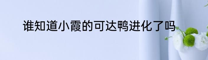 谁知道小霞的可达鸭进化了吗