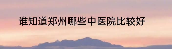 谁知道郑州哪些中医院比较好