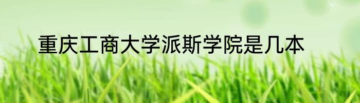 重庆工商大学派斯学院是几本