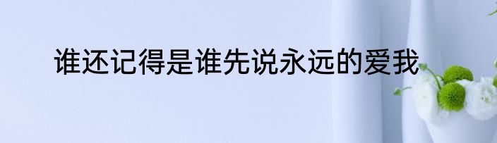 谁还记得是谁先说永远的爱我