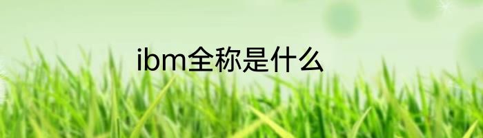 ibm全称是什么