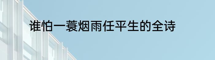 谁怕一蓑烟雨任平生的全诗