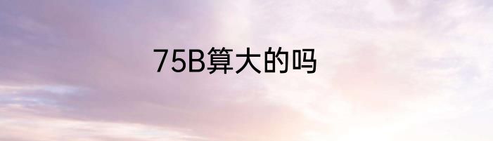 75B算大的吗