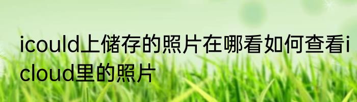 icould上储存的照片在哪看如何查看icloud里的照片