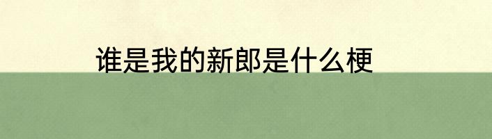 谁是我的新郎是什么梗