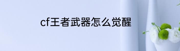 cf王者武器怎么觉醒
