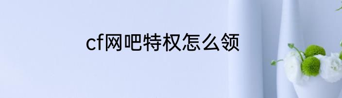 cf网吧特权怎么领