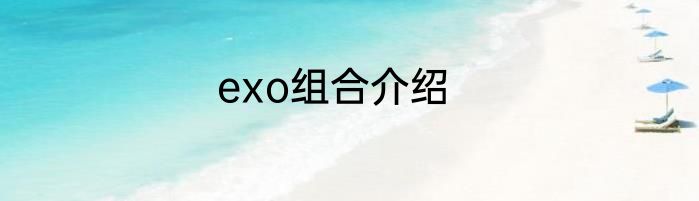 exo组合介绍