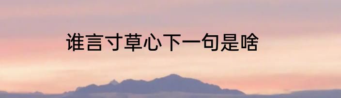 谁言寸草心下一句是啥