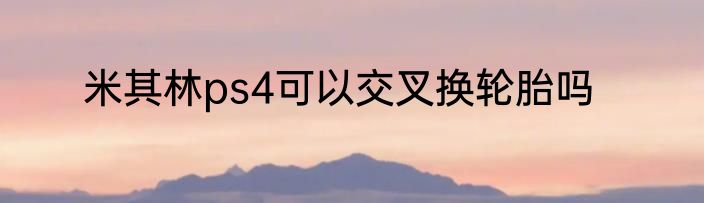 米其林ps4可以交叉换轮胎吗