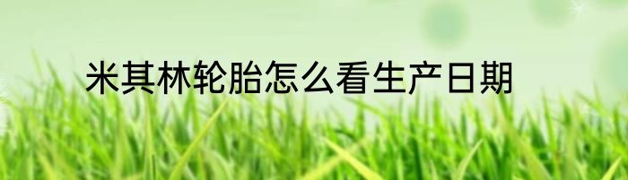 米其林轮胎怎么看生产日期