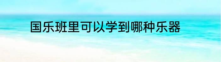 国乐班里可以学到哪种乐器