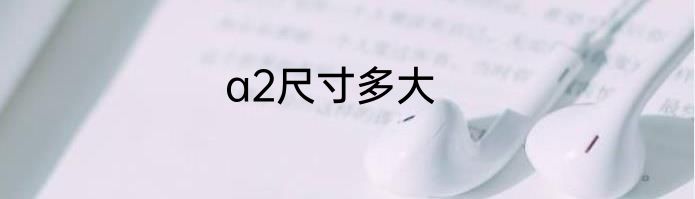 a2尺寸多大