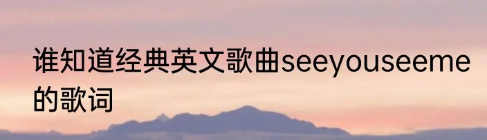 谁知道经典英文歌曲seeyouseeme的歌词