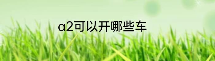 a2可以开哪些车