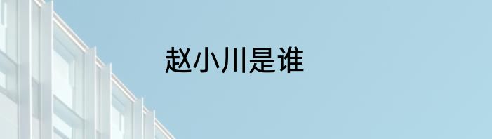 赵小川是谁
