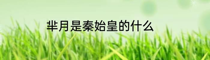 芈月是秦始皇的什么