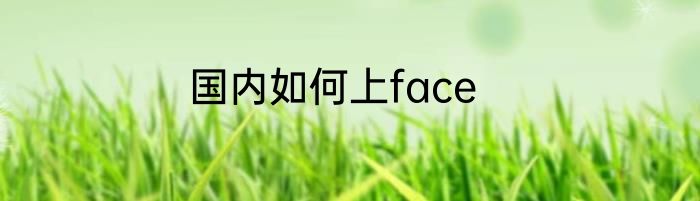 国内如何上face
