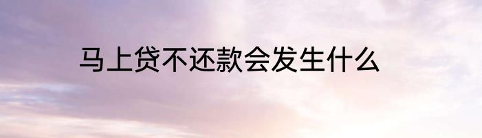 马上贷不还款会发生什么
